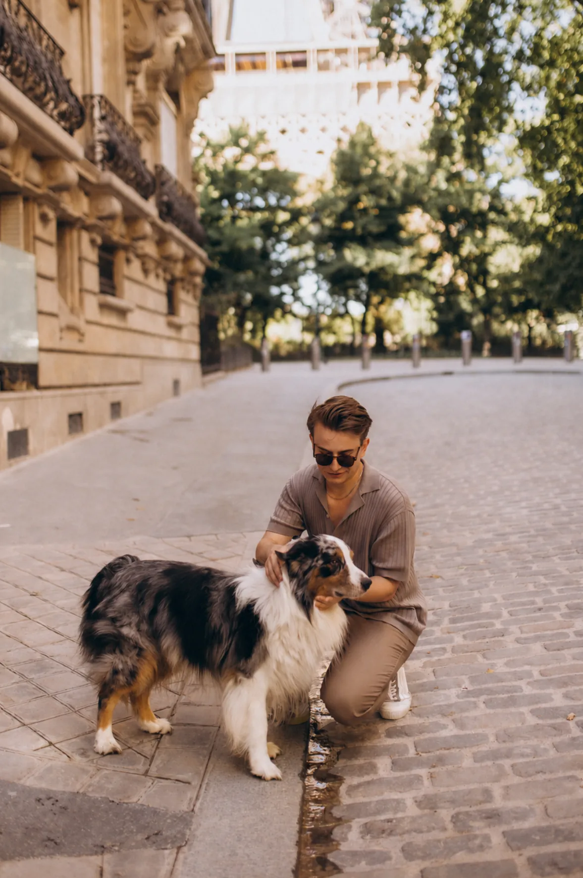 Paris street photography, a young man crouching to pet a fluffy Australian shepherd dog on a cobblestone Paris street lined with trees